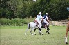 UKPA  NC Sat_1416